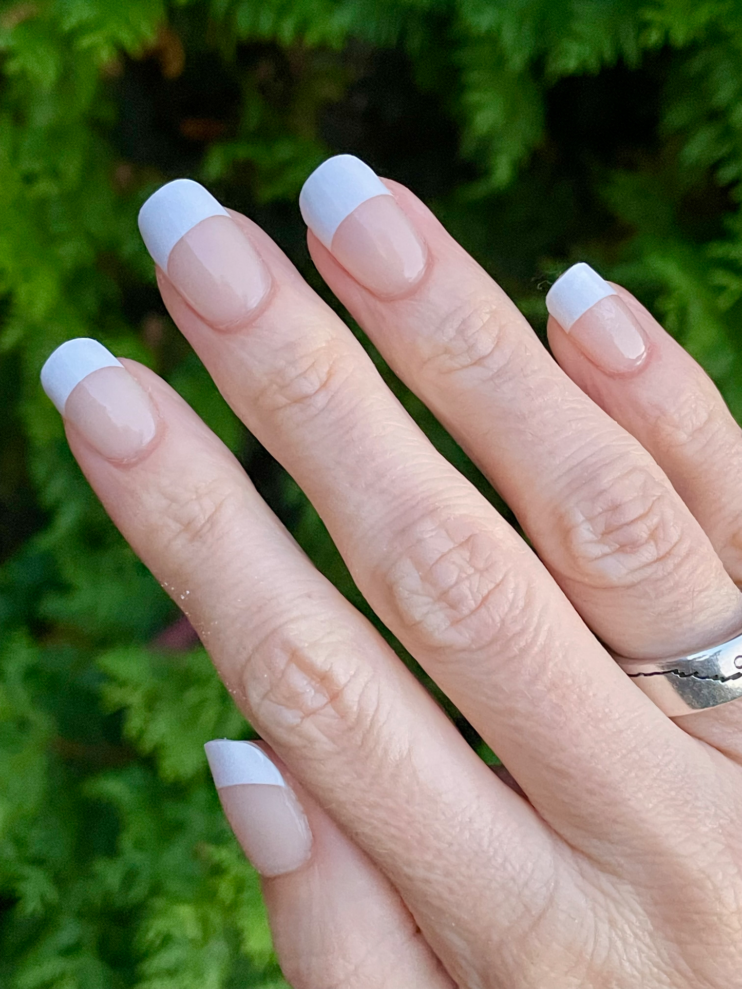 Classic French 16er-Blush&Cherry - Blush and Cherry - Nagelfolien ohne UV