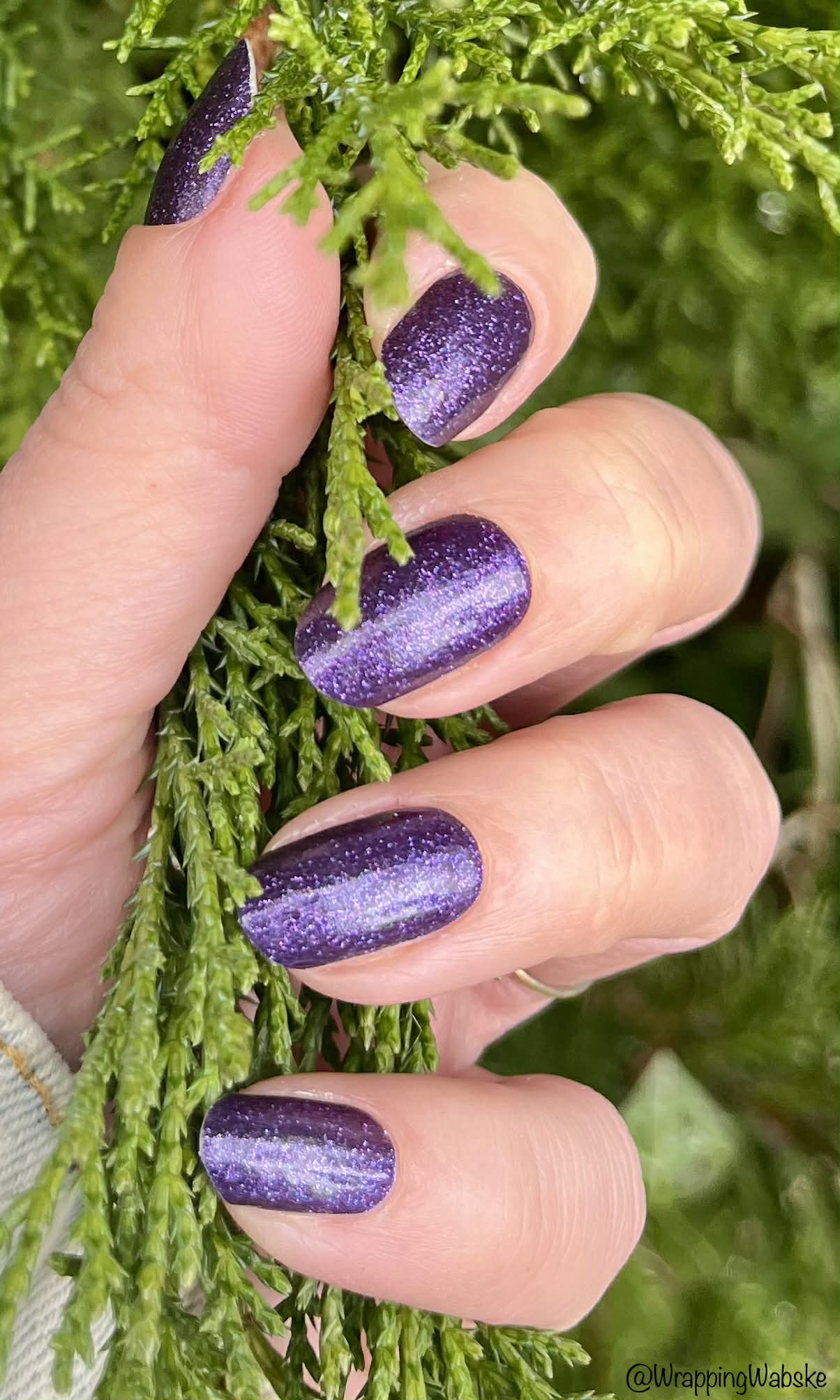 Galactic Grape 16er