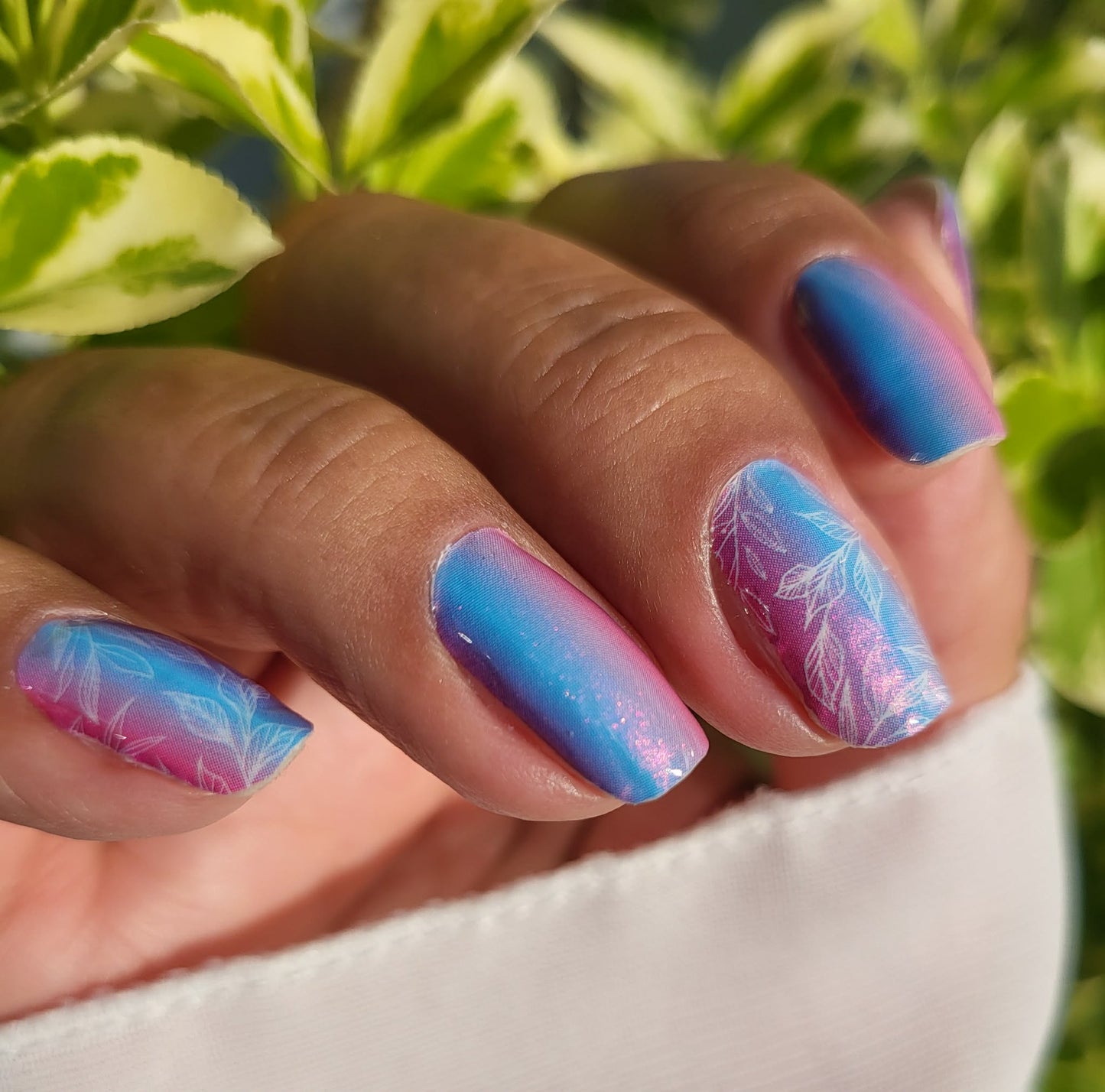 Dream Petals 16er