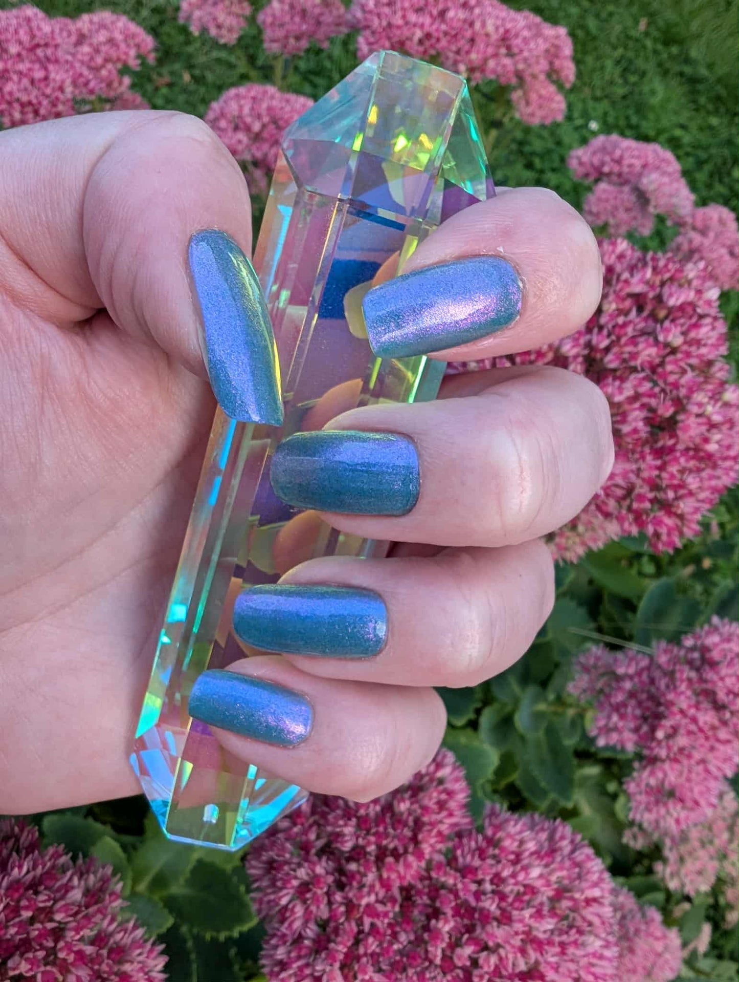 Shifter Turquoise 20er