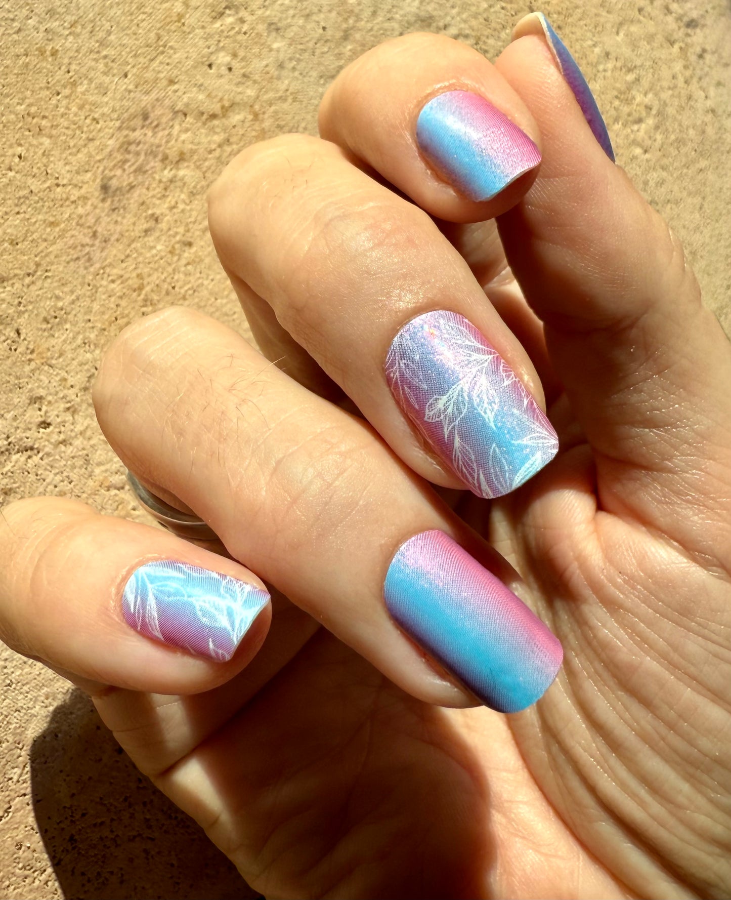 Dream Petals 16er