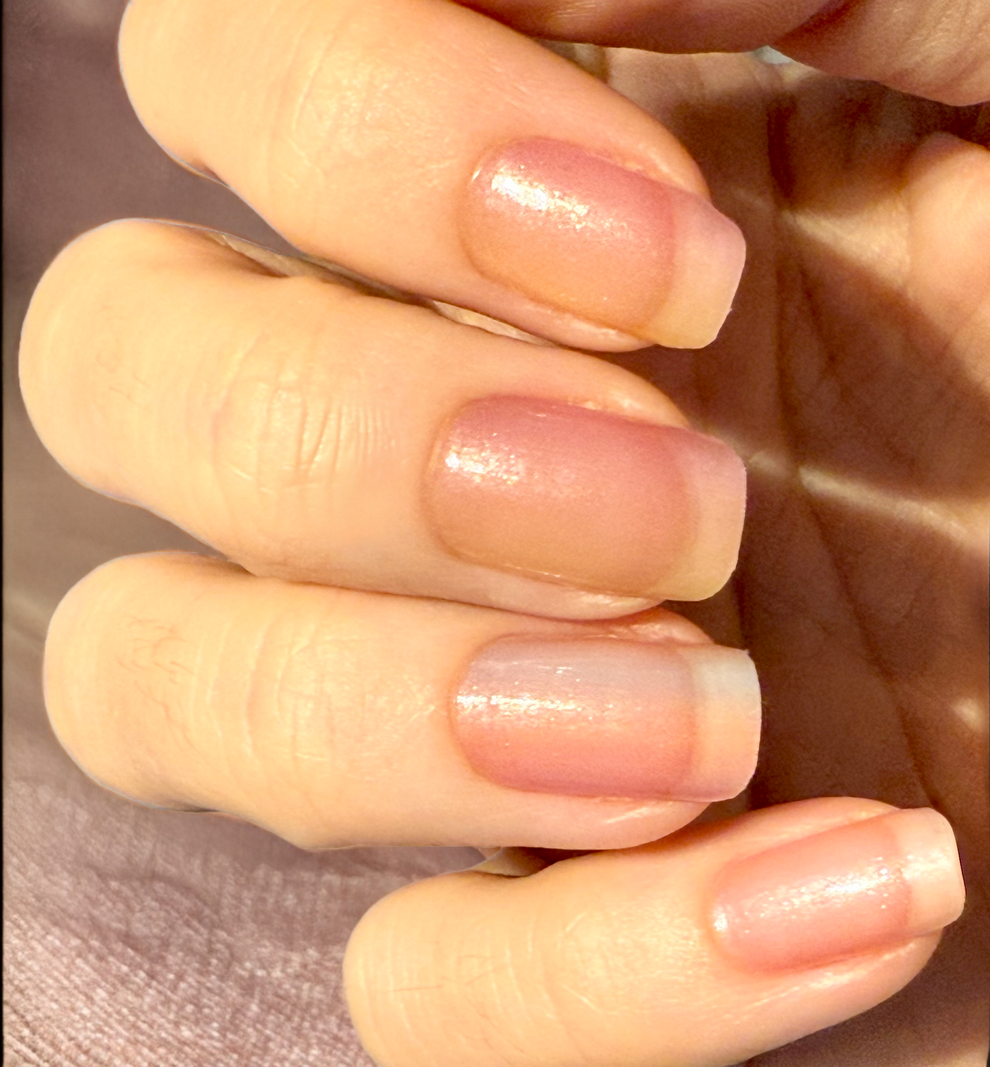 Tinch of Tint 16er Overlay