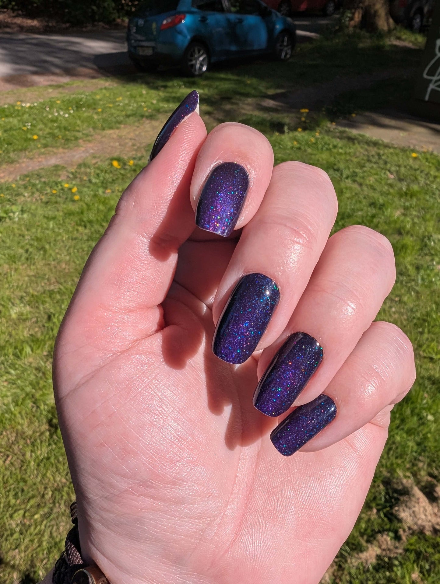 Crispy Plum 20er