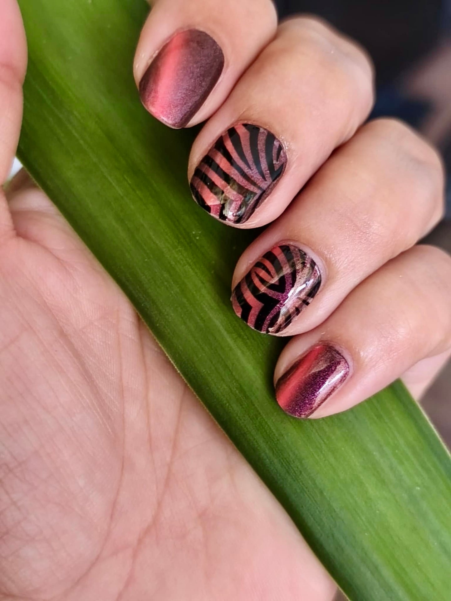 Savanna 16er Overlay