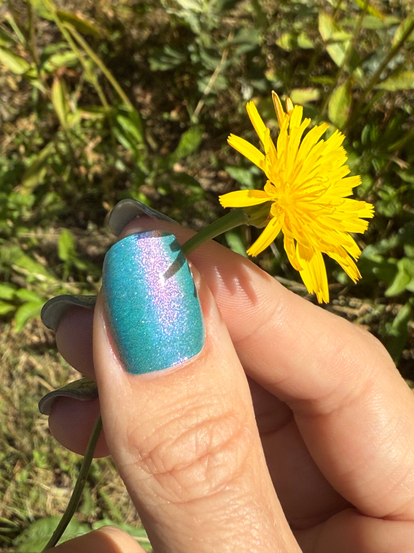 Shifter Turquoise 20er