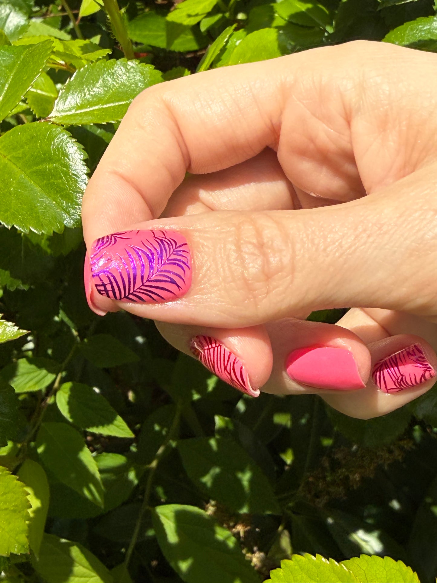 Palm Paradise 16er Overlay