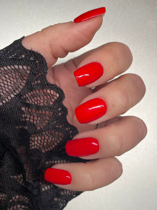 Uni Kaiserkirsche 16er