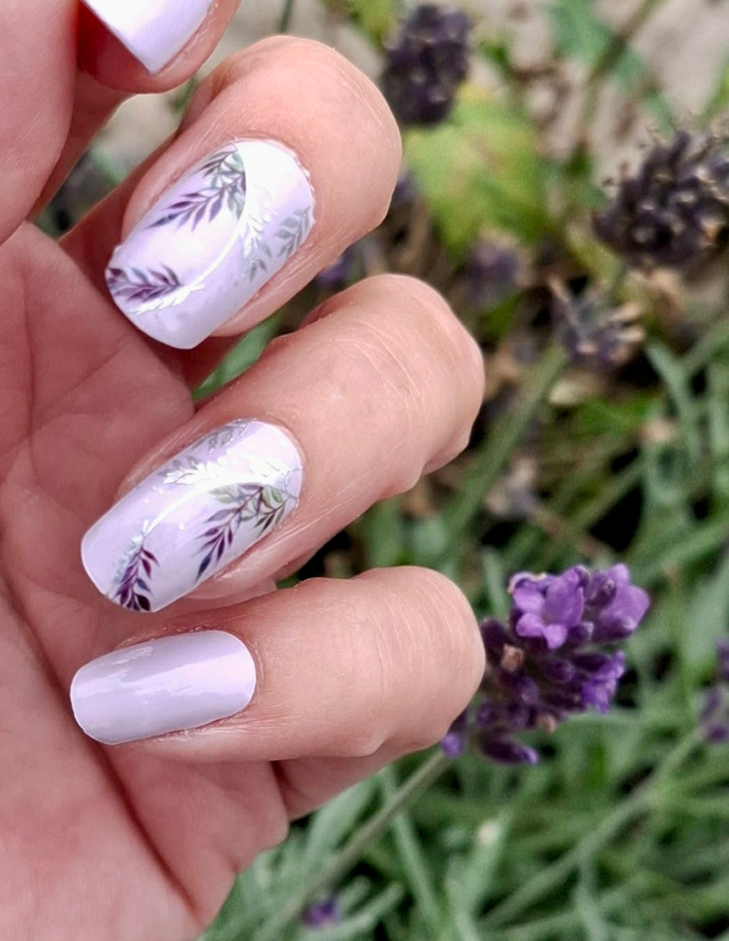 Nyx Garden 16er Overlay