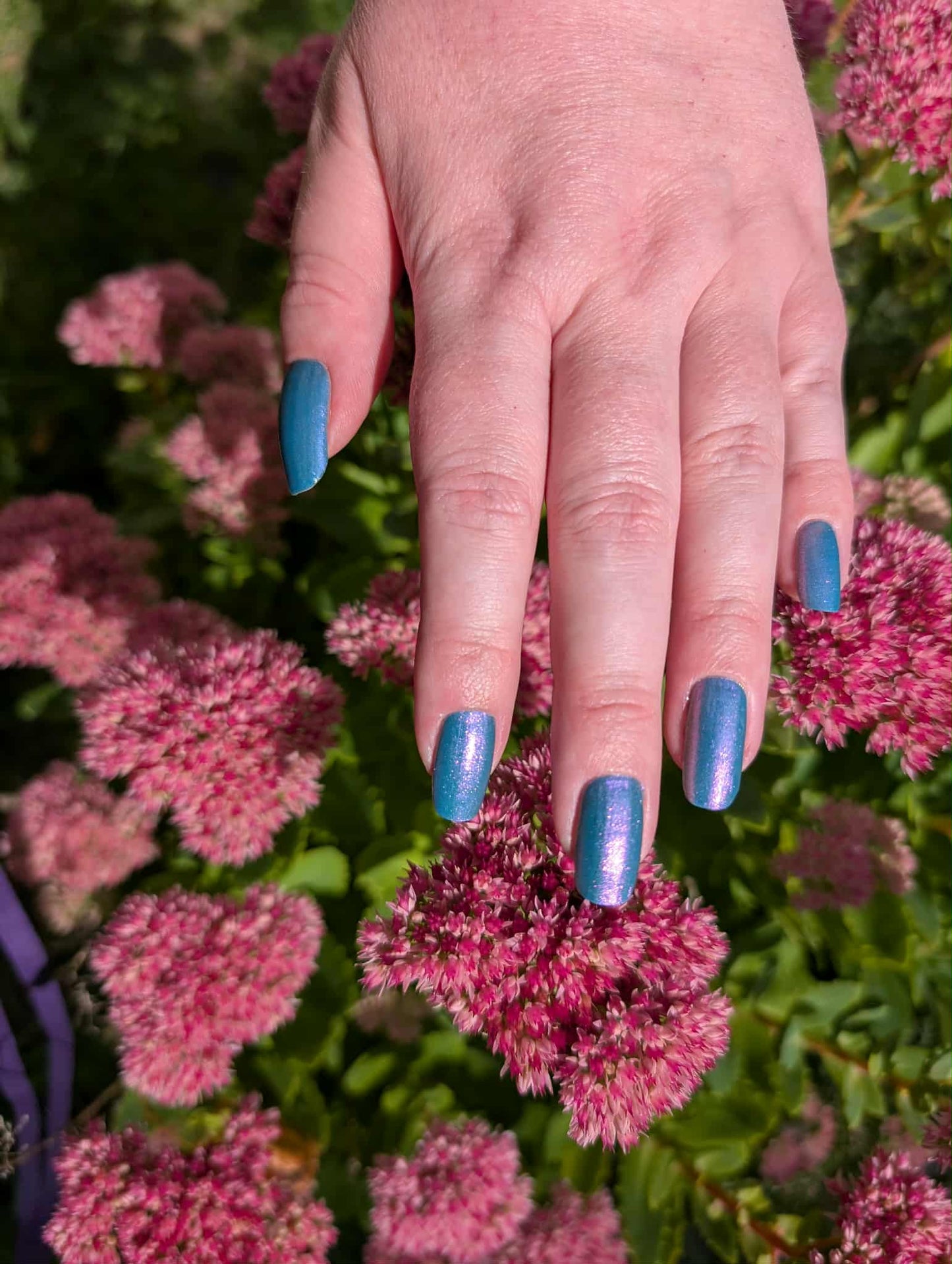 Shifter Turquoise 20er