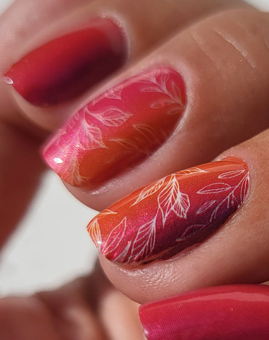 Rouge Petals 16er