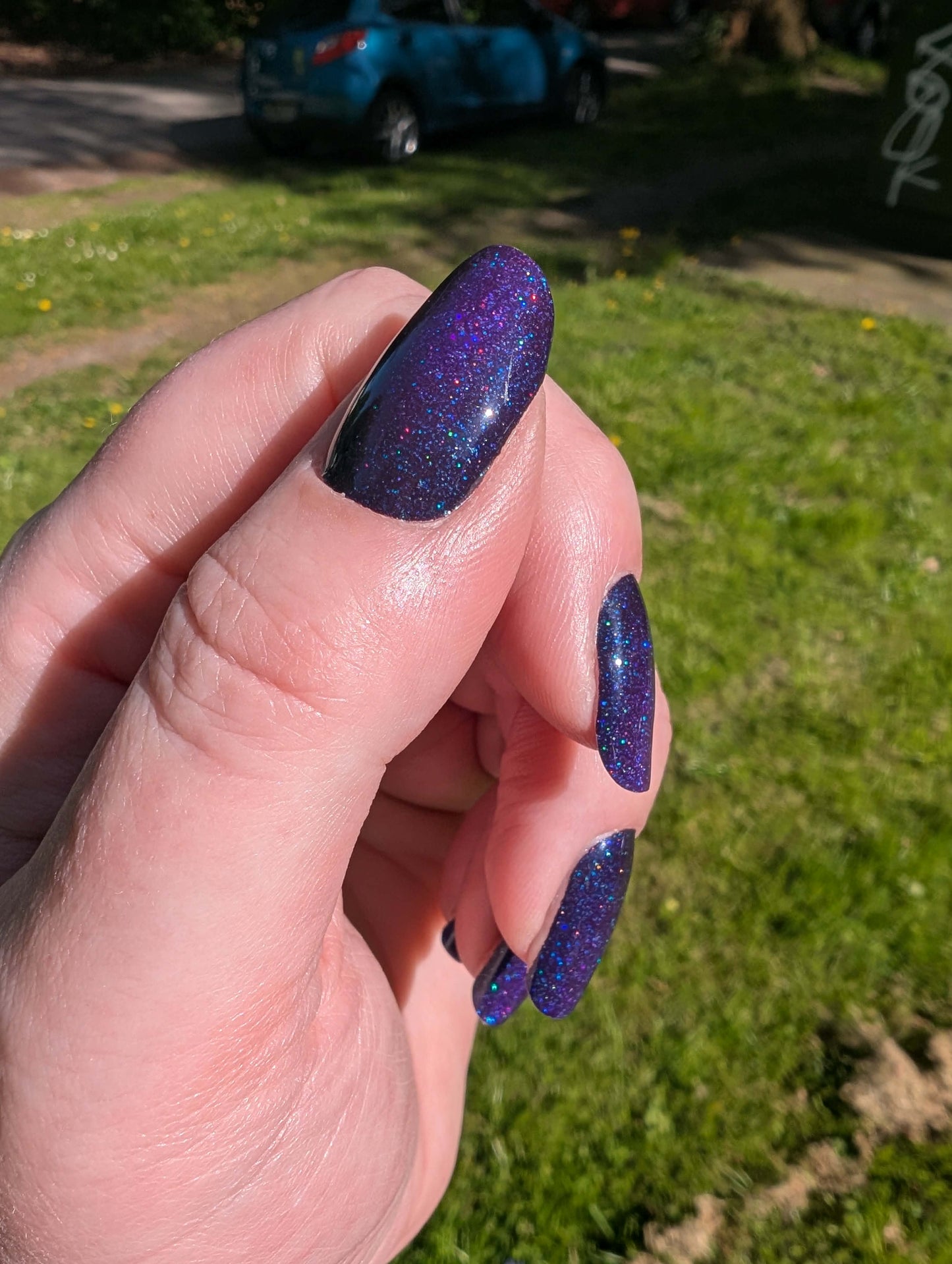 Crispy Plum 20er