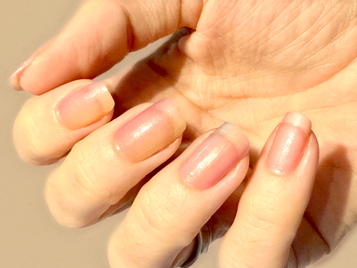 Tinch of Tint 16er Overlay