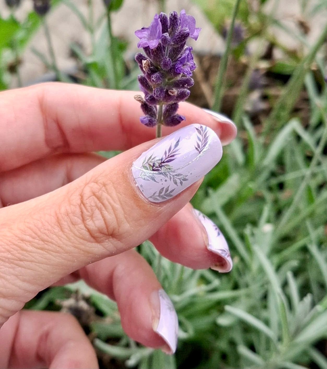Nyx Garden 16er Overlay