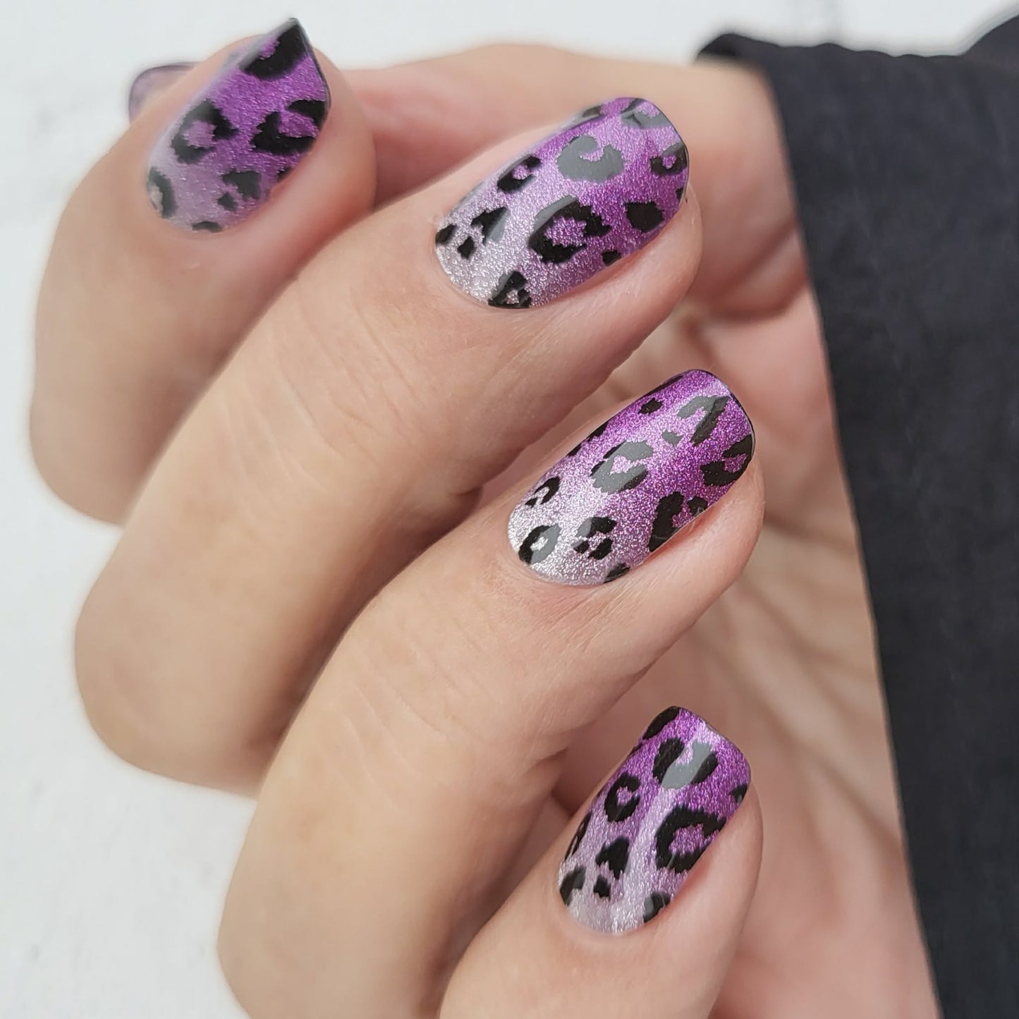 UV Purple Panther 20er