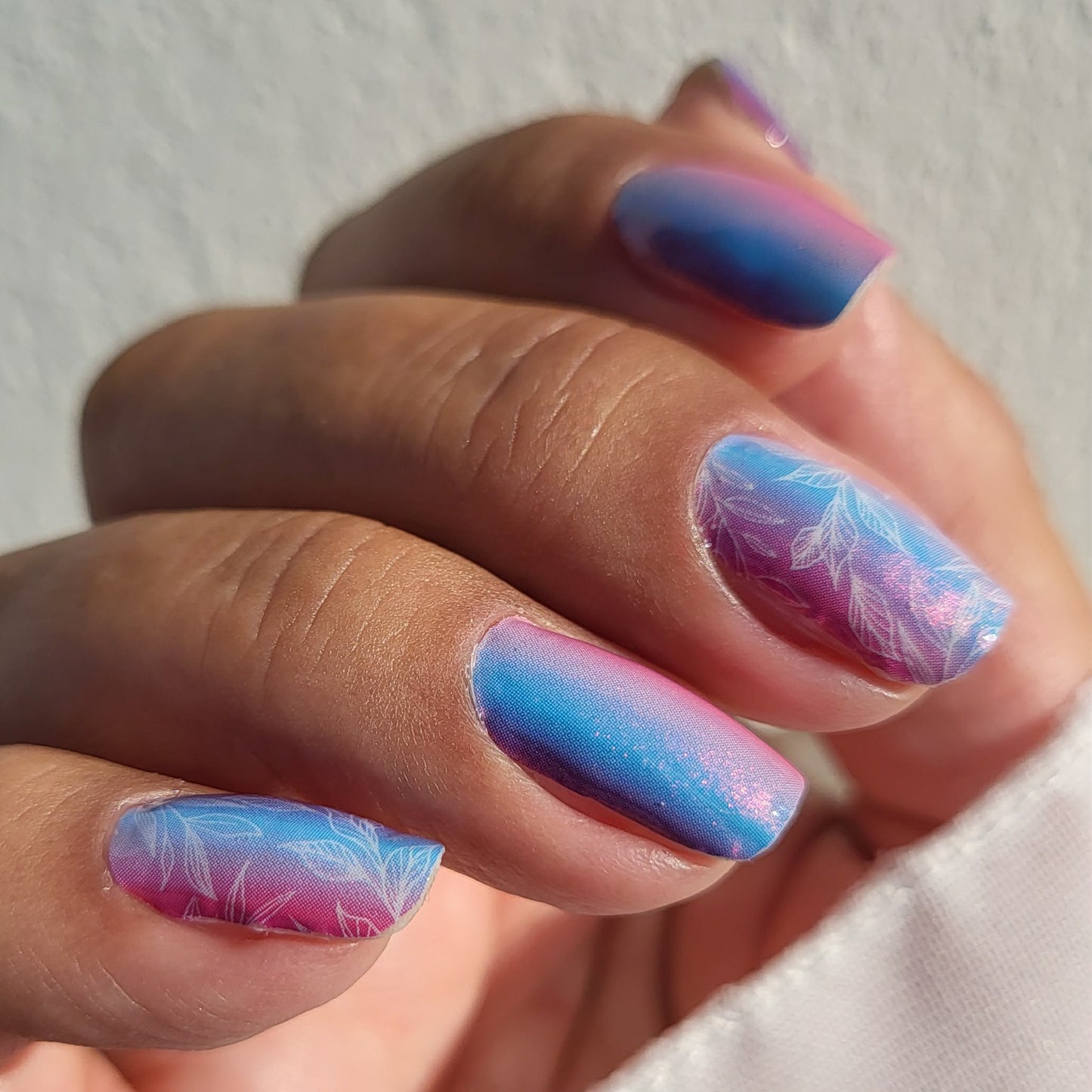 Dream Petals 16er