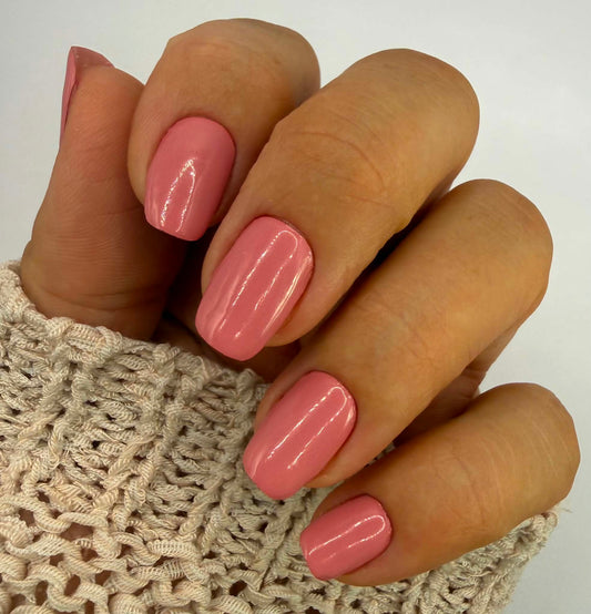 Uni Blush 16er