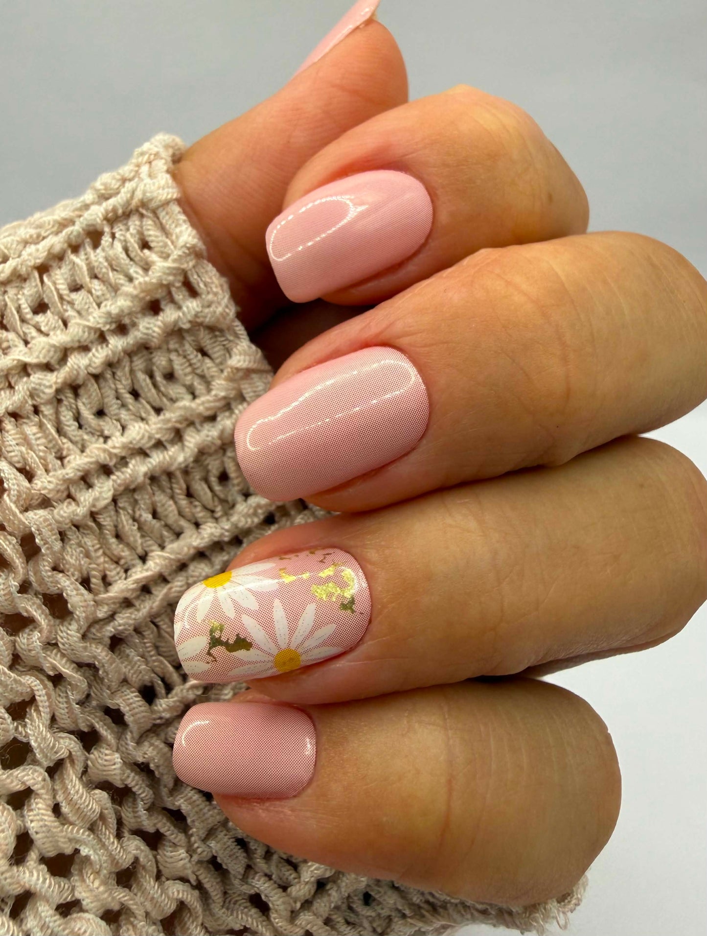 Sweet Bellis 16er