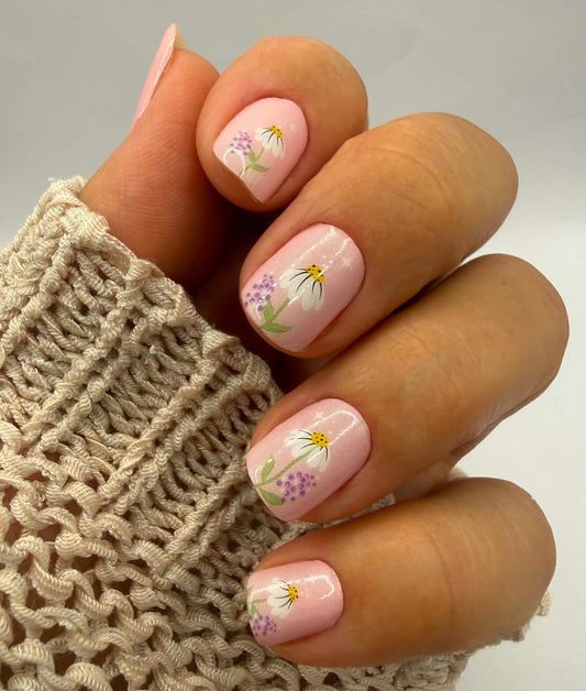 Pink Poesie 16er
