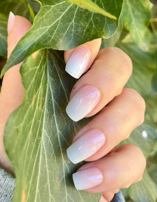 UV-free Gel Pavlova 22er