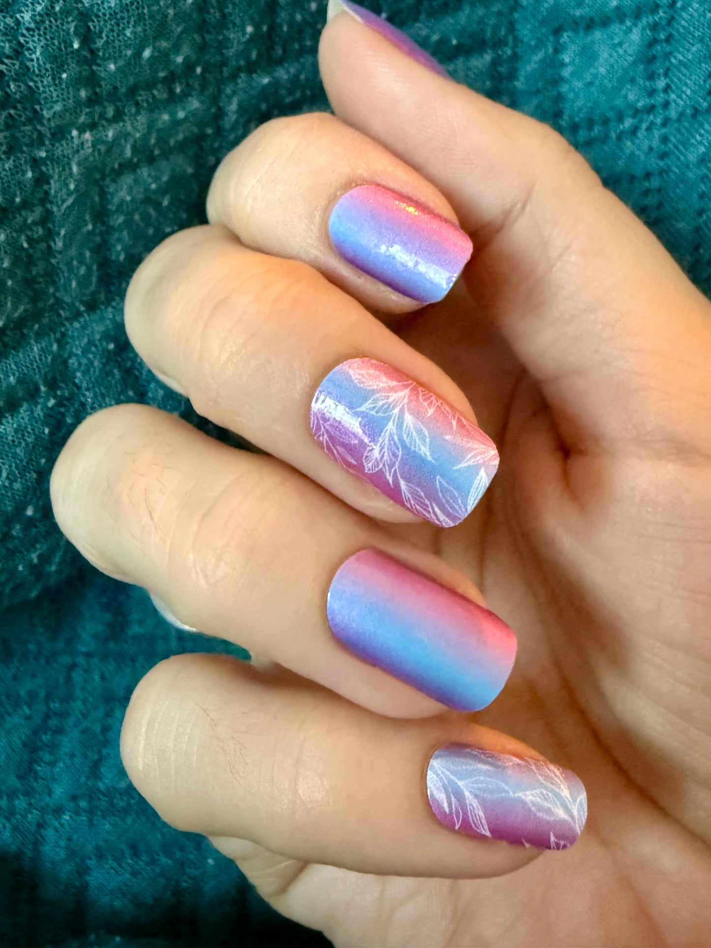 Dream Petals 16er
