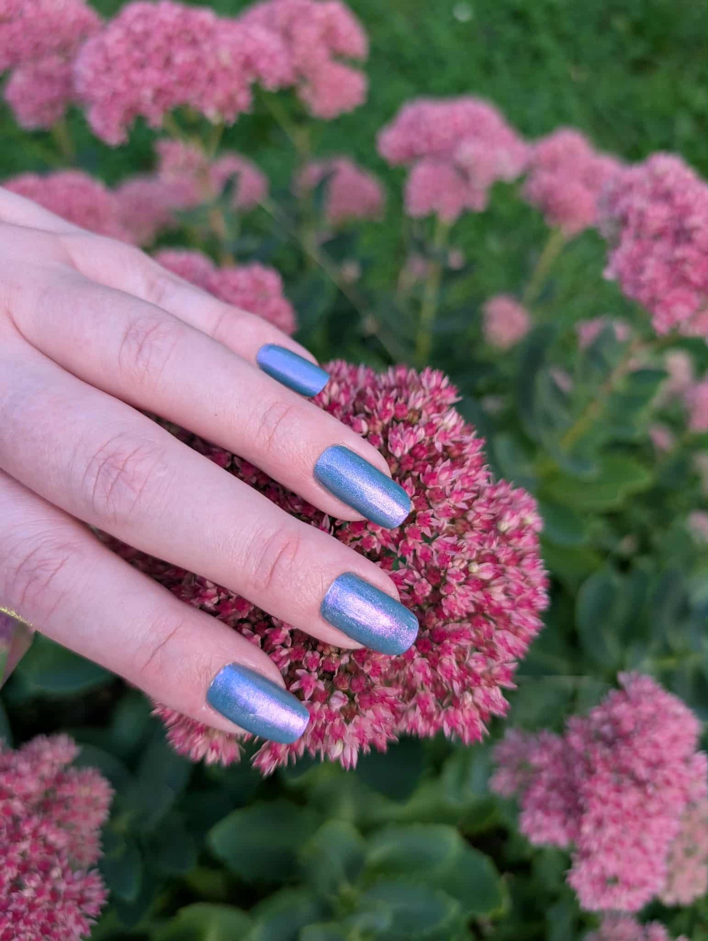 Shifter Turquoise 20er