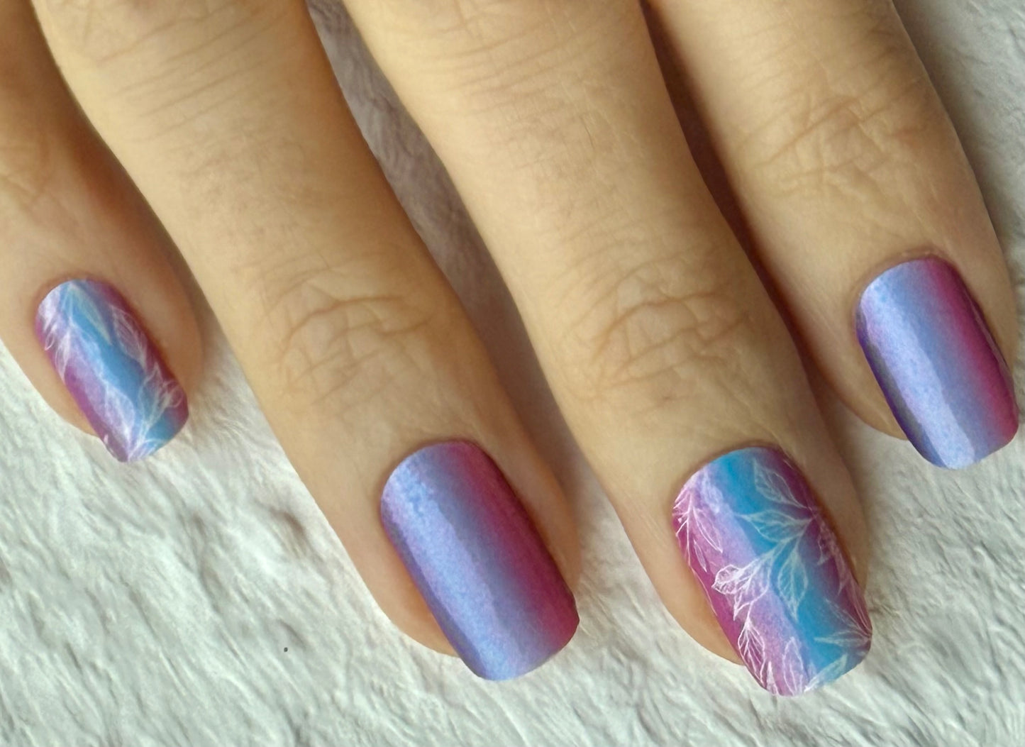 Dream Petals 16er