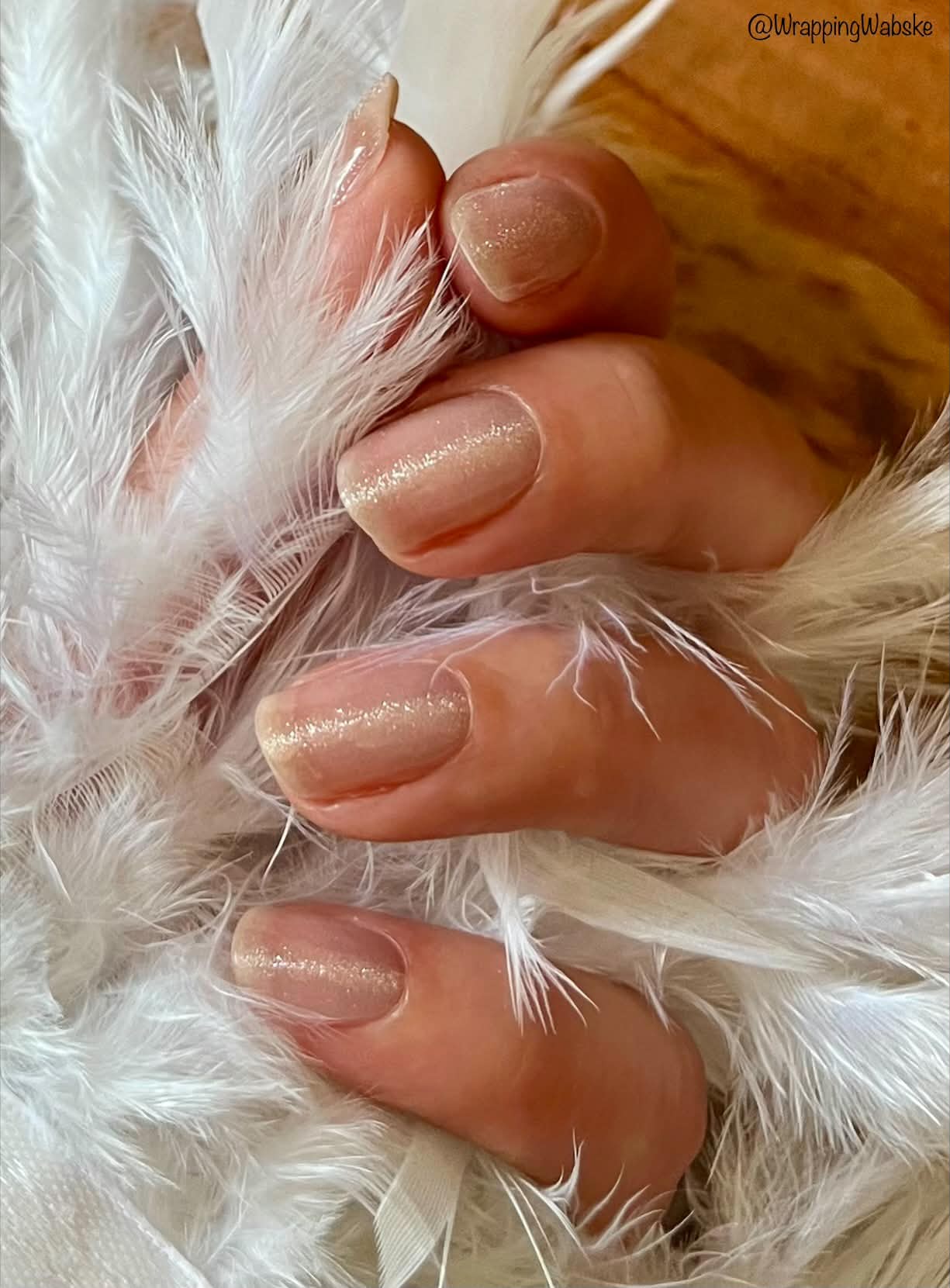 UV-free Gel Silk Set 22er