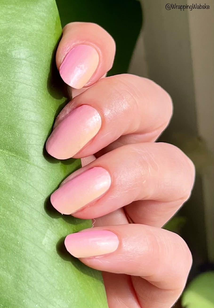 Pink Peach 16er