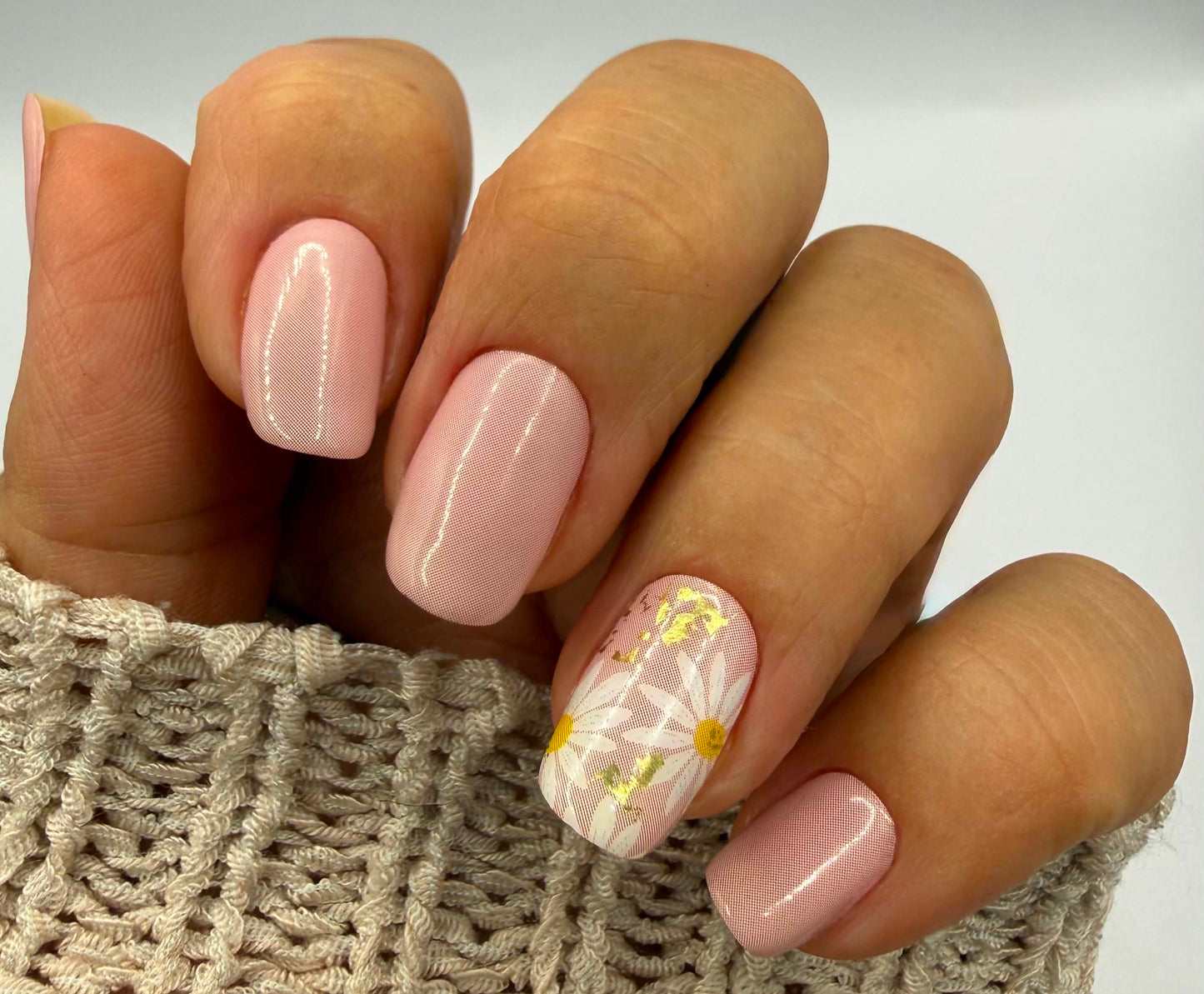 Sweet Bellis 16er