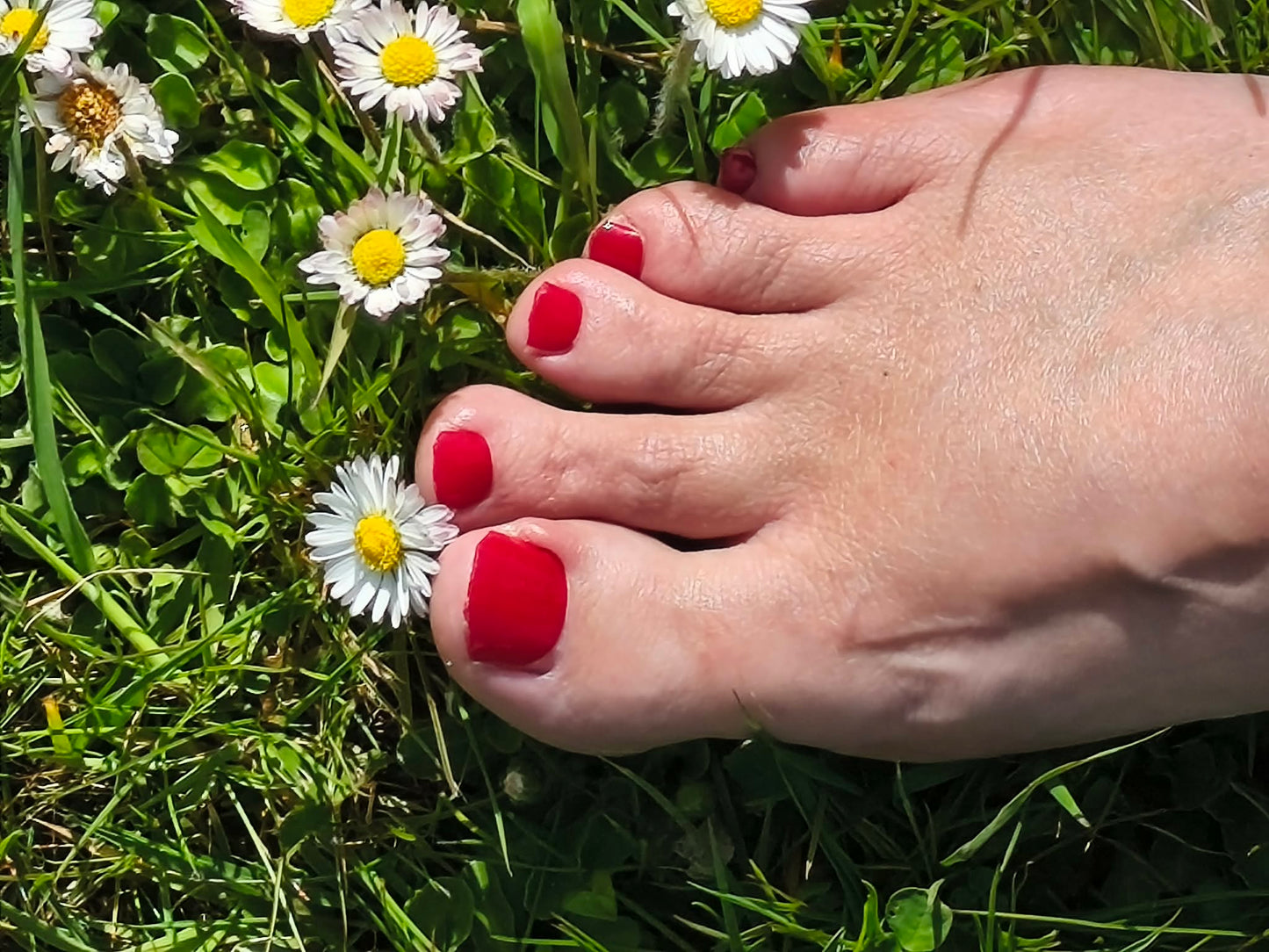 Diva Pedi 34er