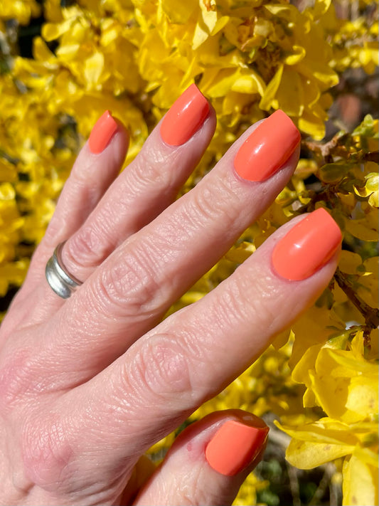 UV-free Gel La Cucaracha 22er