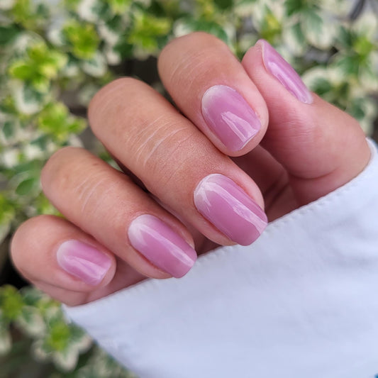 UV Mauve Touch 20er