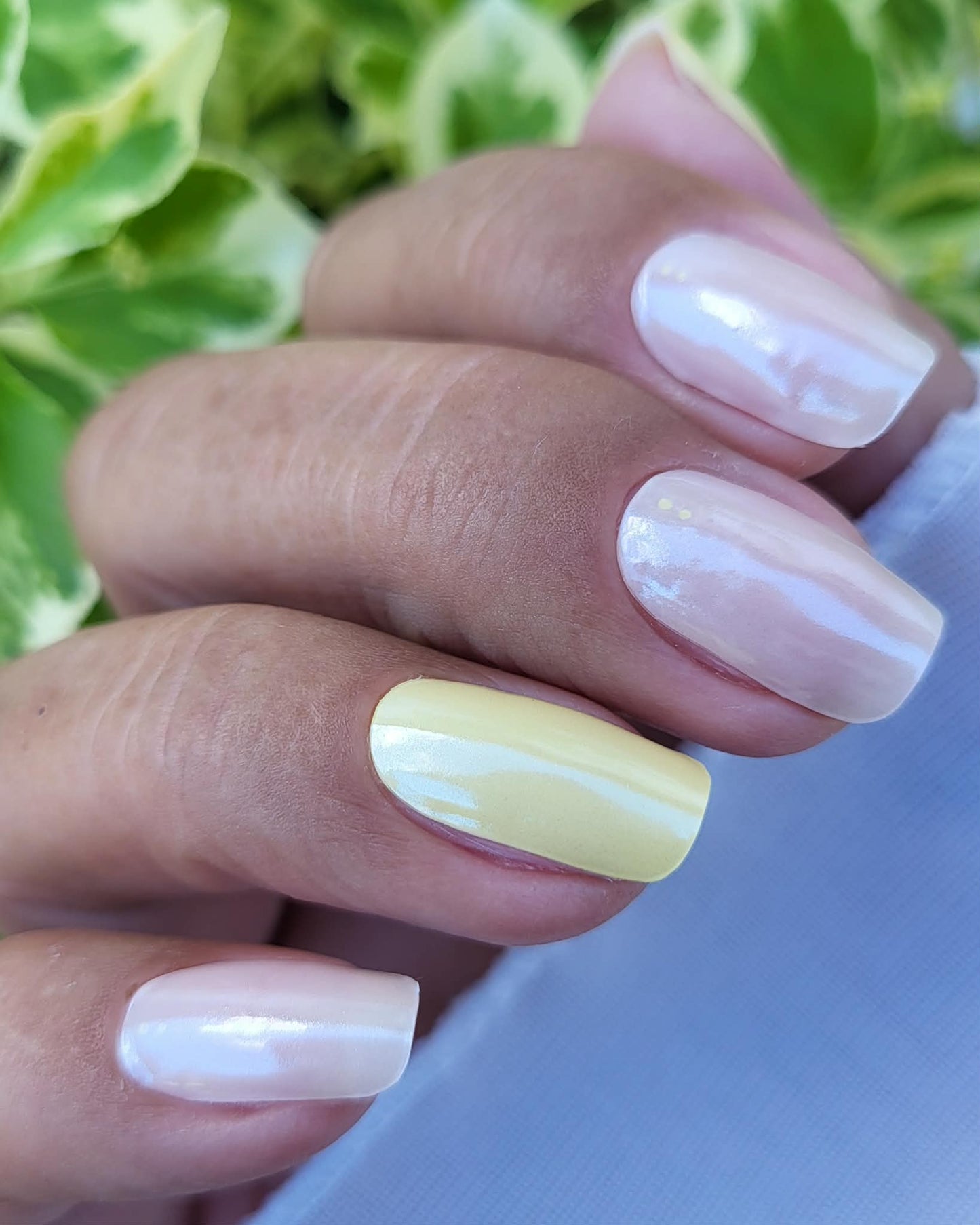UV Glazed Spring 20er