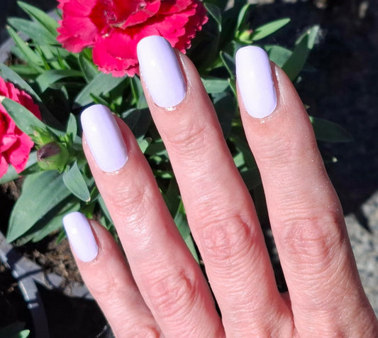 Uni Lavender 16er