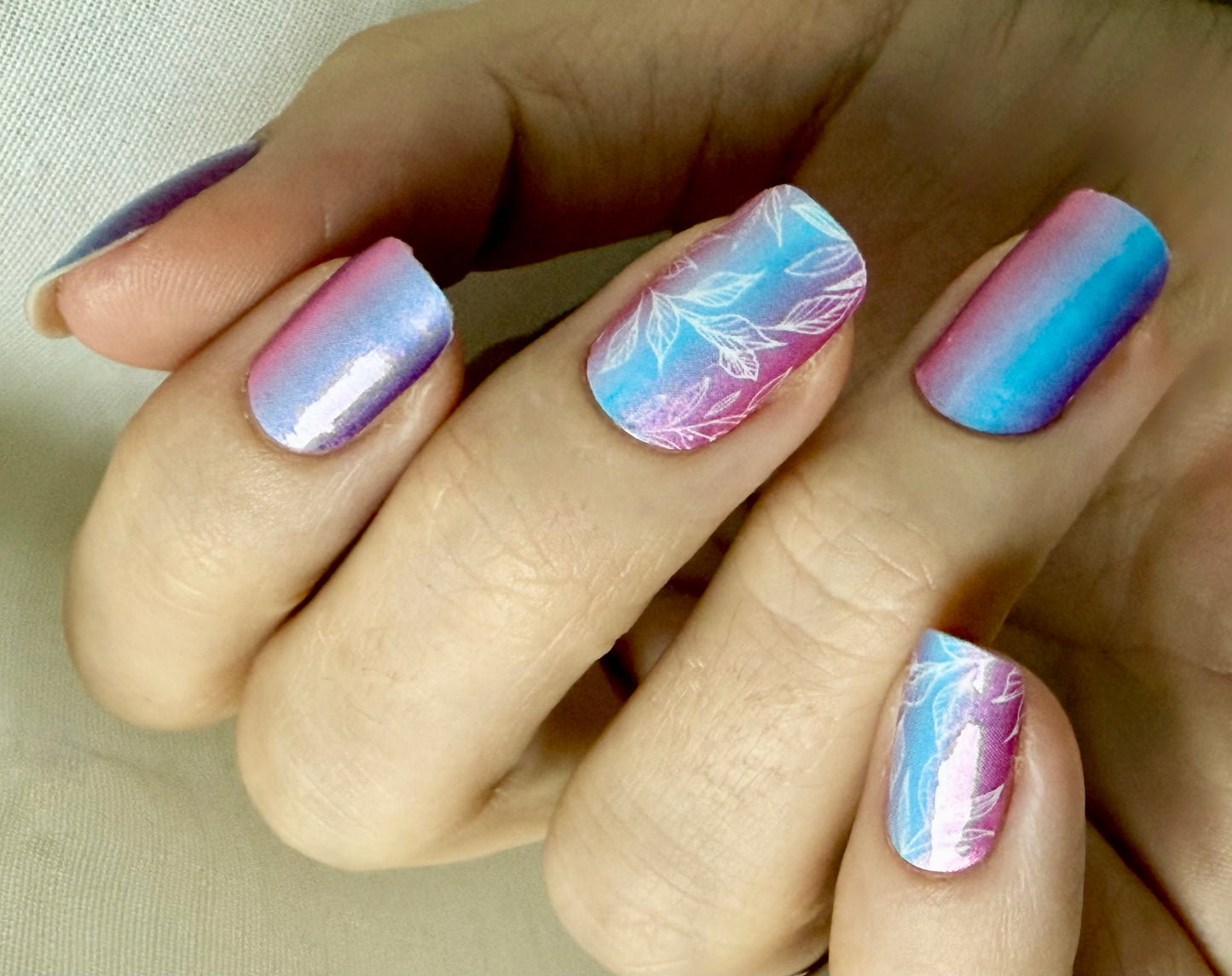 Dream Petals 16er