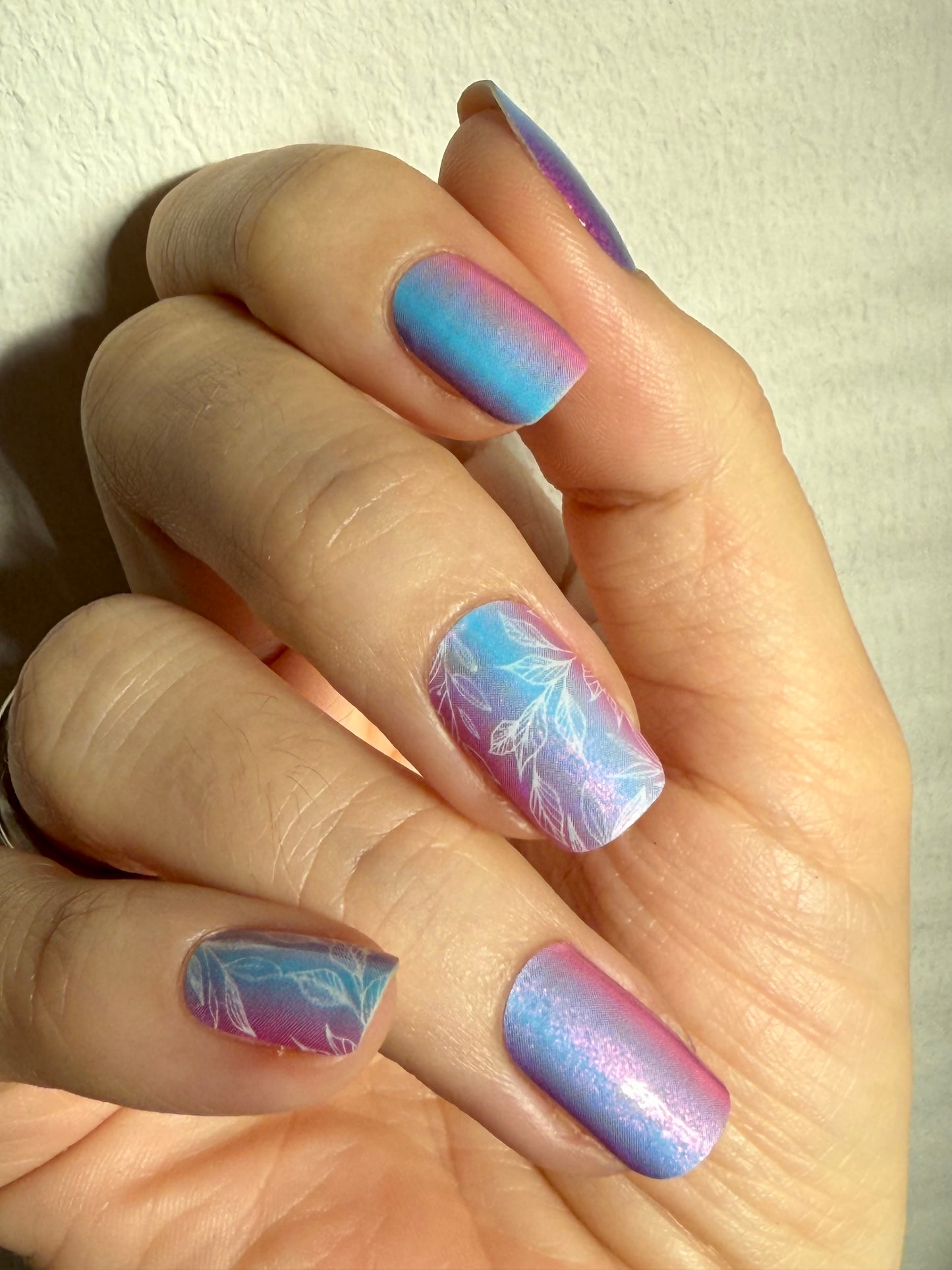 Dream Petals 16er