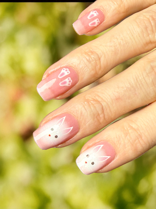 Everybunny's Darling 16er