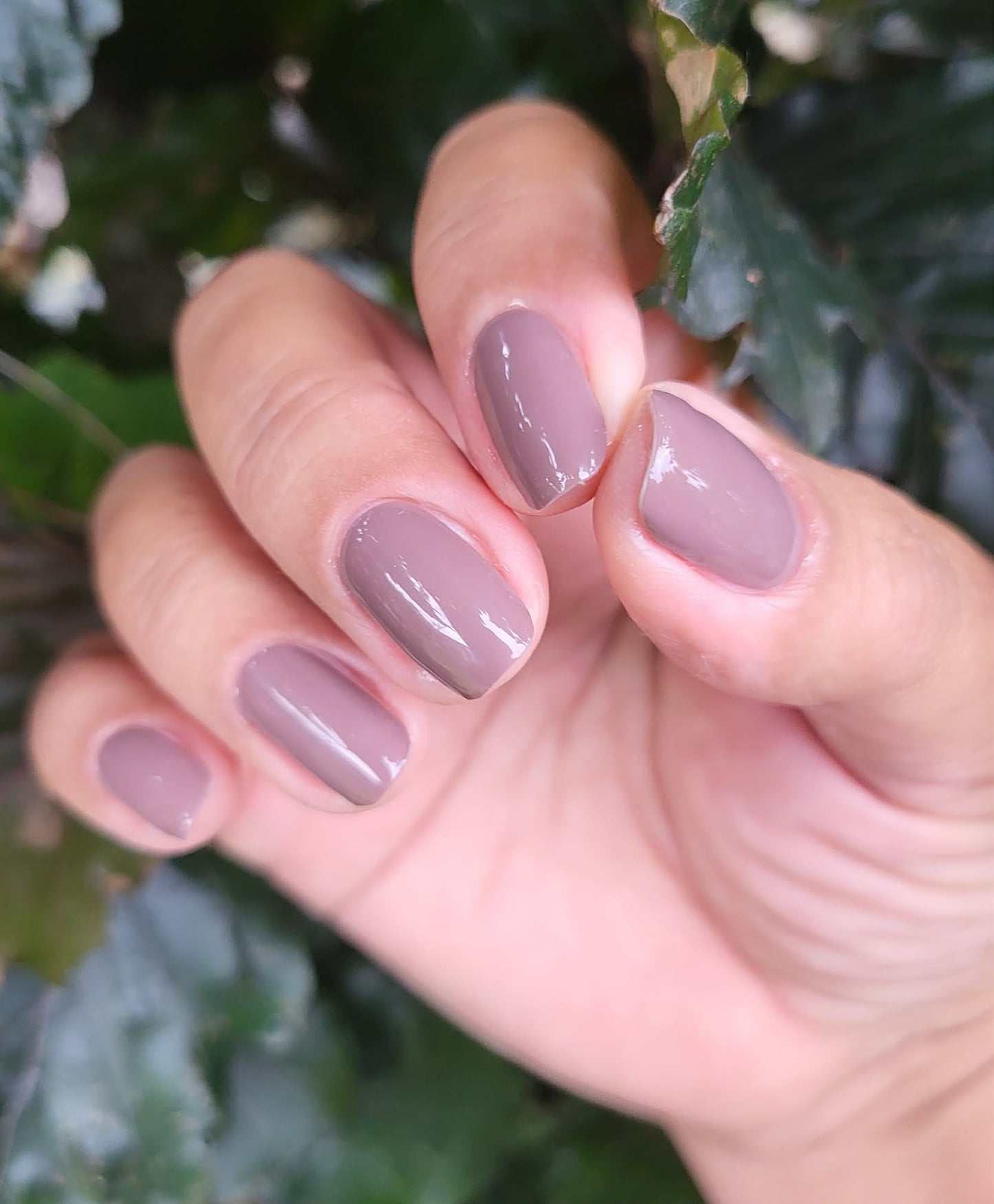 Uni Hazel 16er