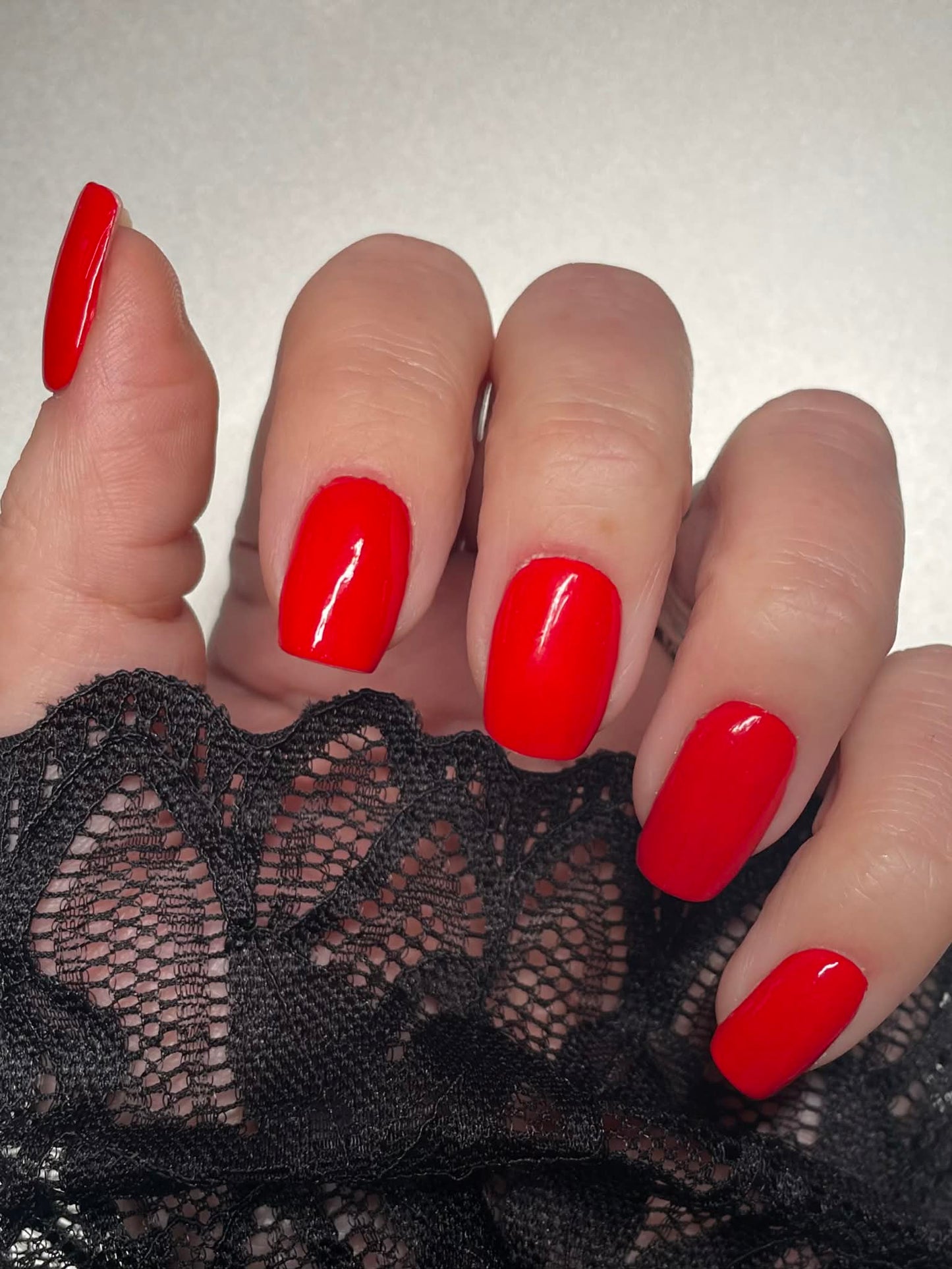 Uni Kaiserkirsche 16er