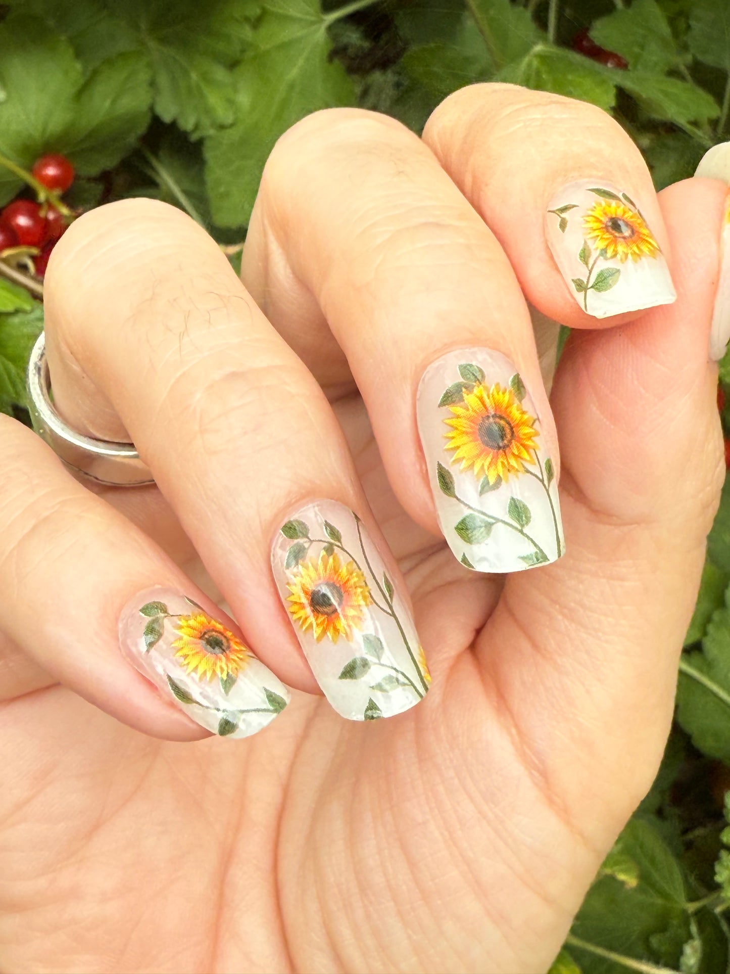 Sunflower Power 16er Overlay