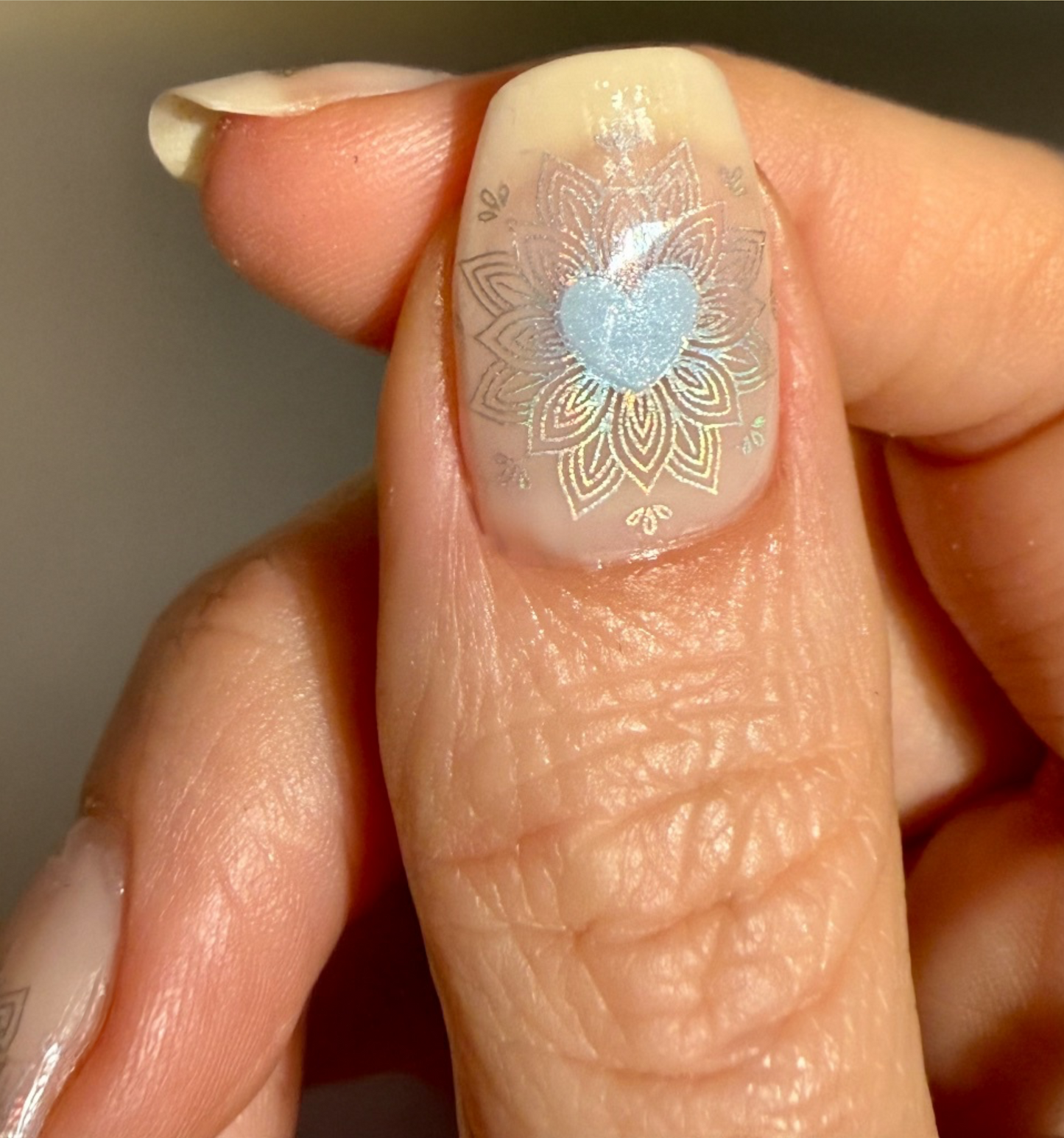Holo Love 16er Overlay