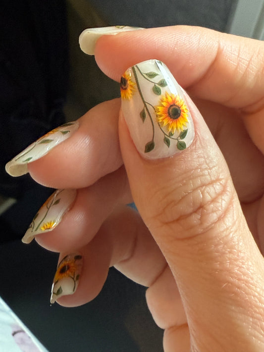 Sunflower Power 16er Overlay