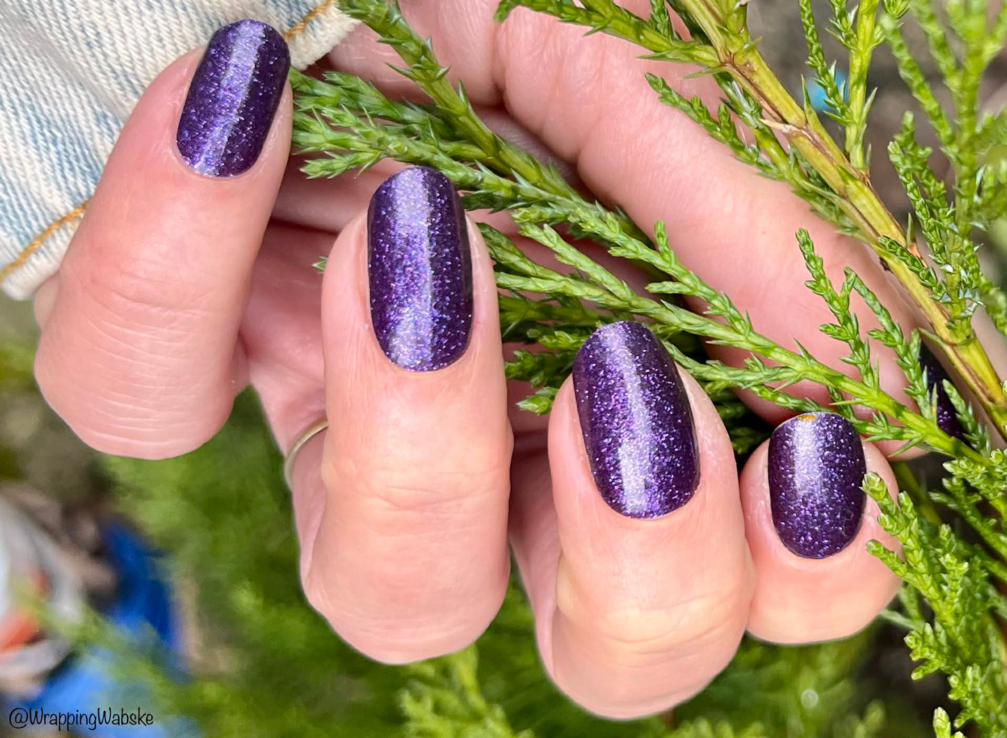 Galactic Grape 16er