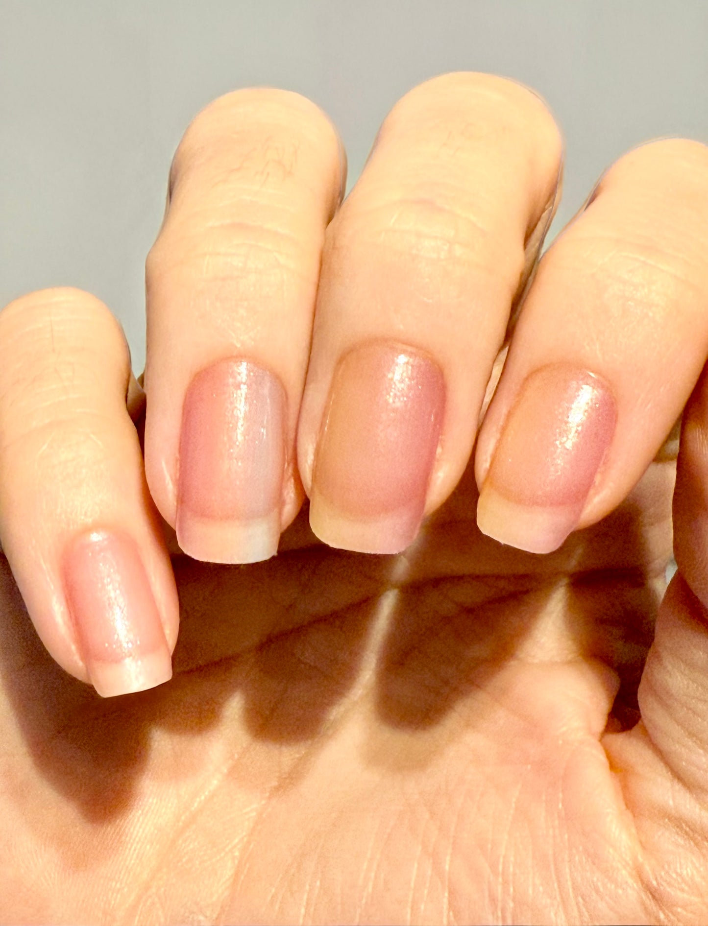 Tinch of Tint 16er Overlay