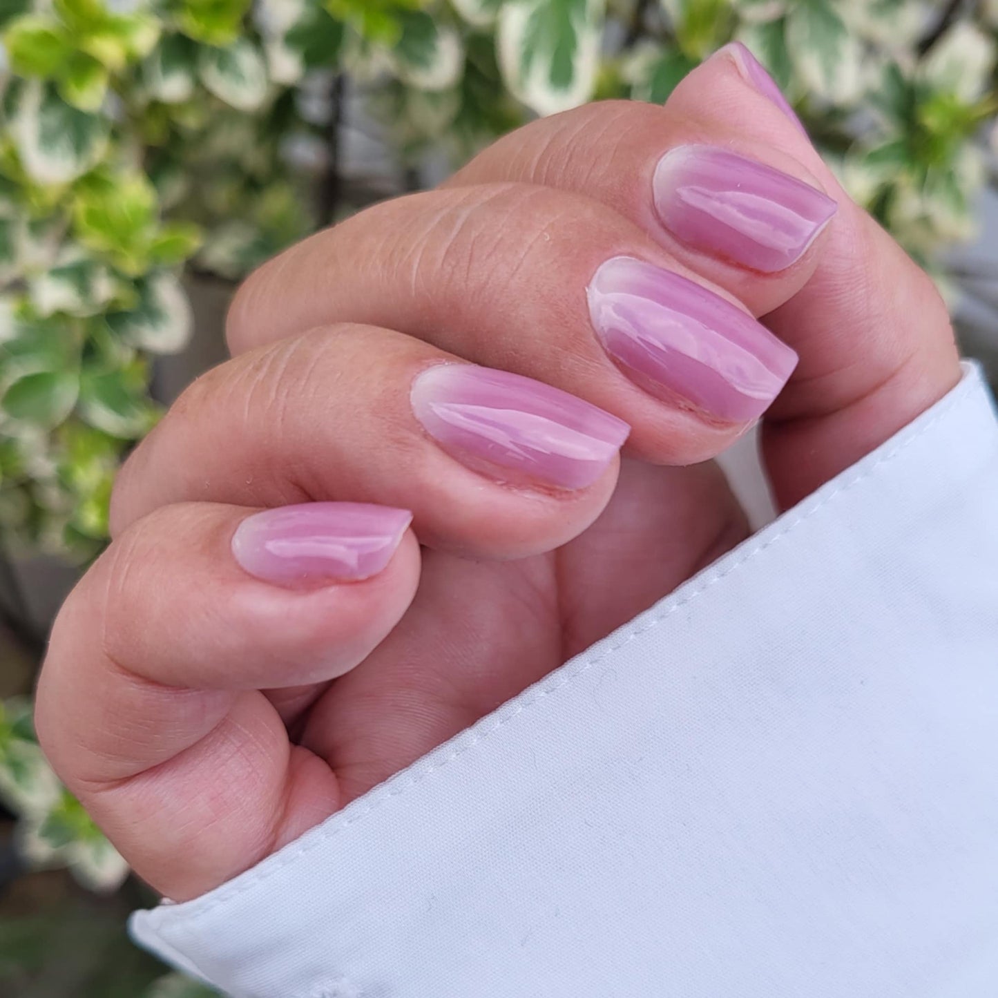UV Mauve Touch 20er