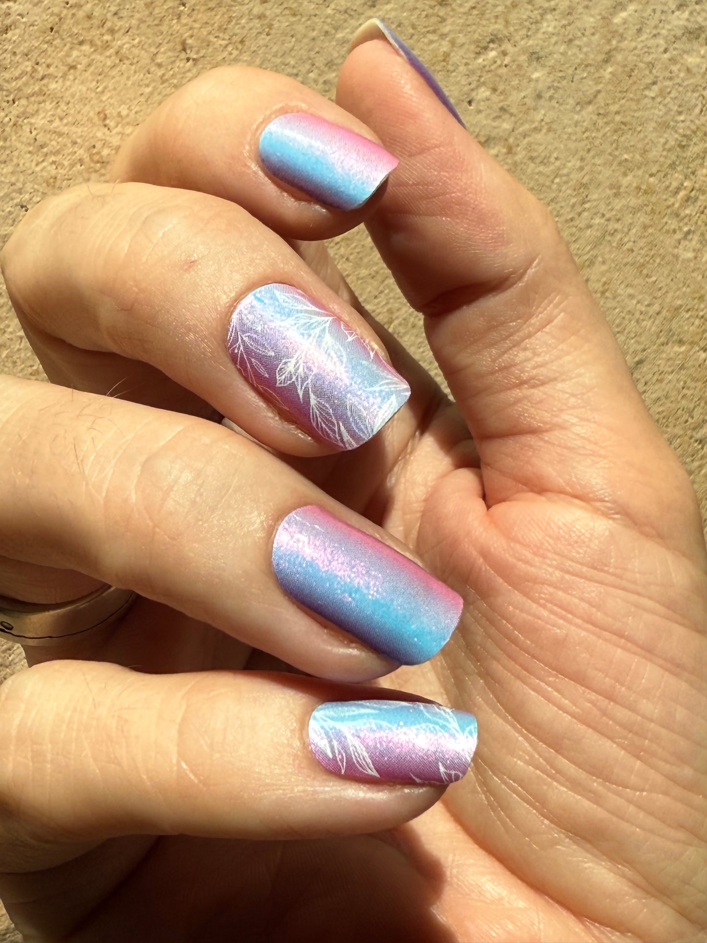 Dream Petals 16er