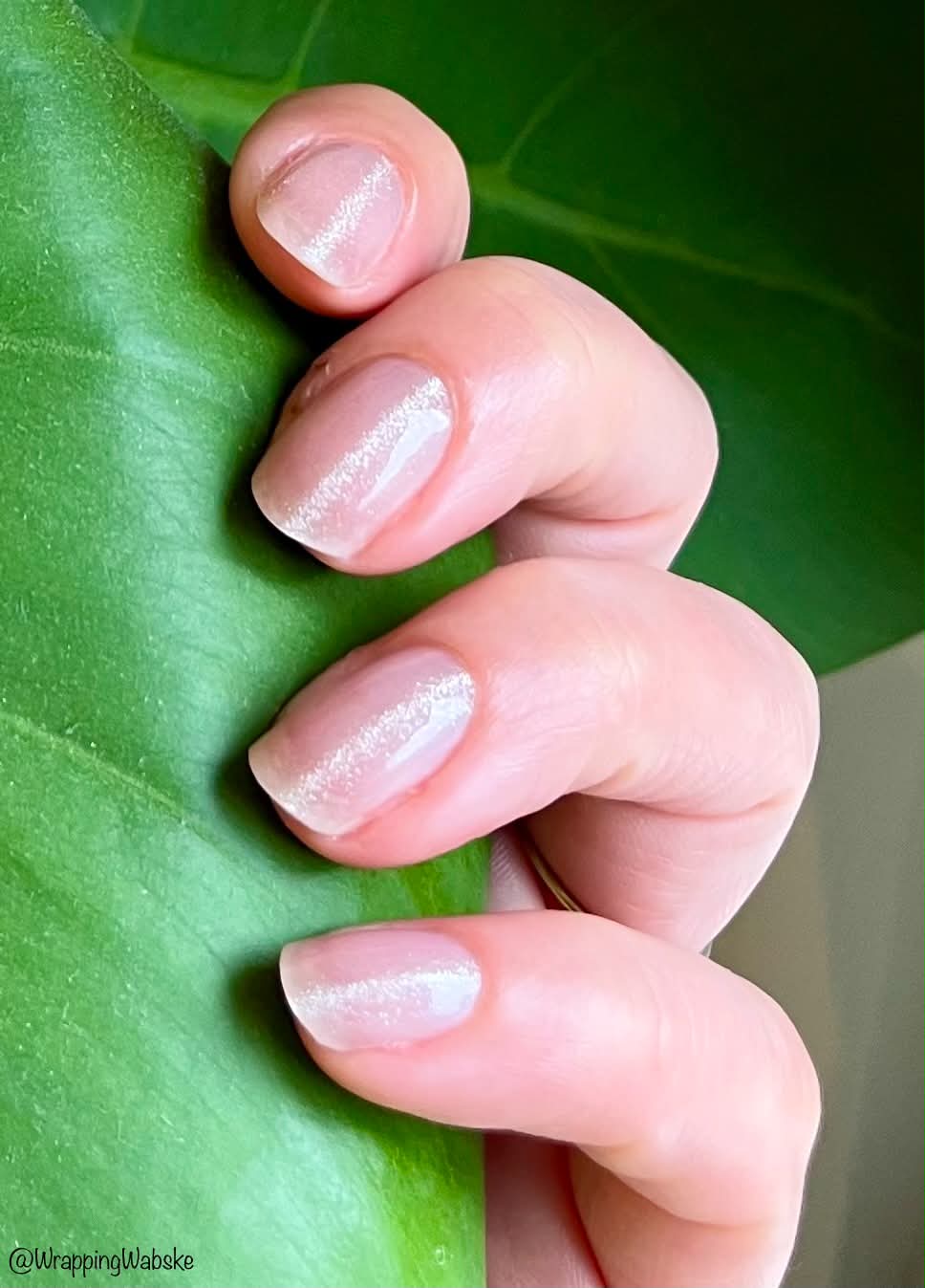 UV-free Gel Silk Set 22er