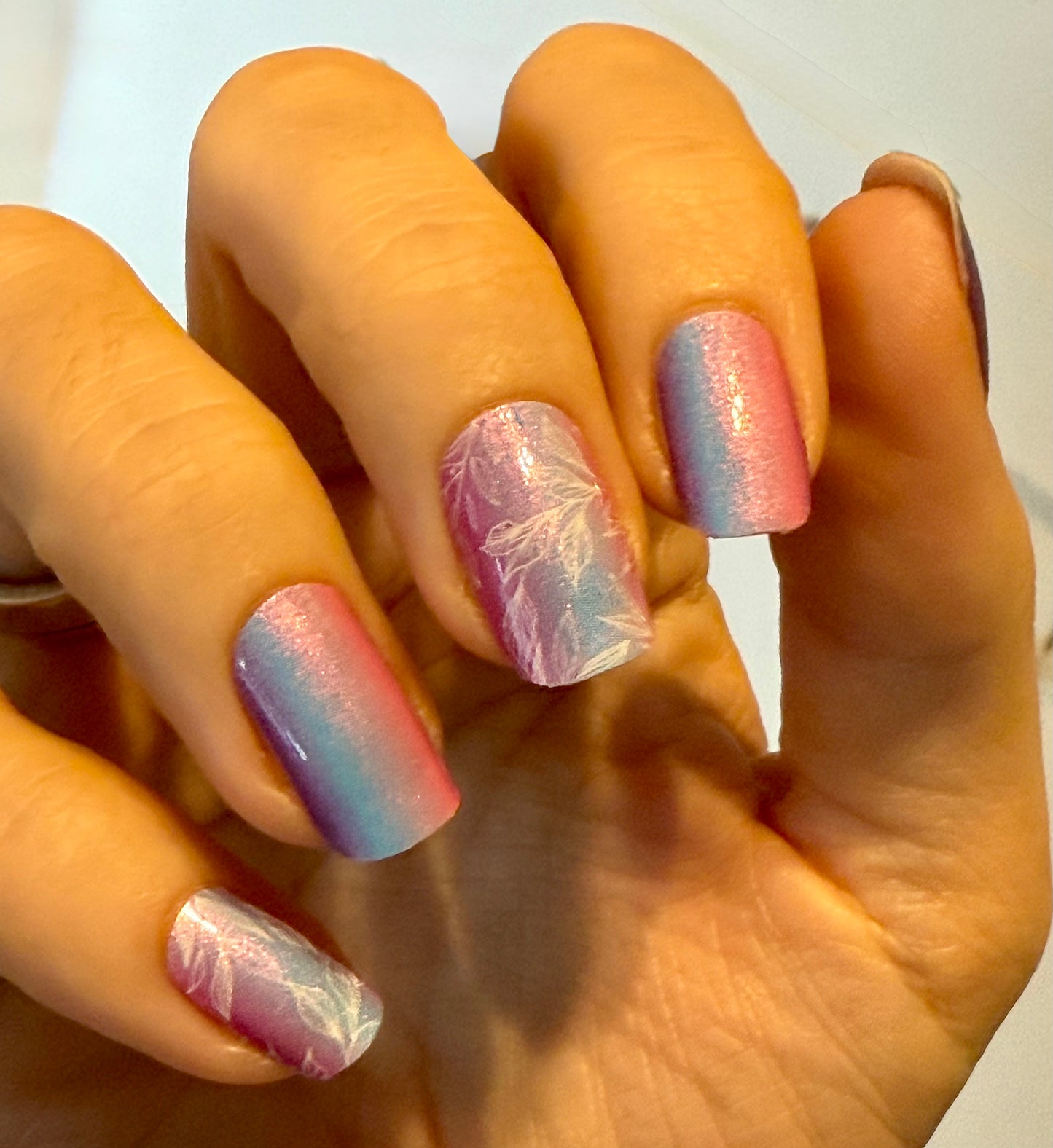 Dream Petals 16er