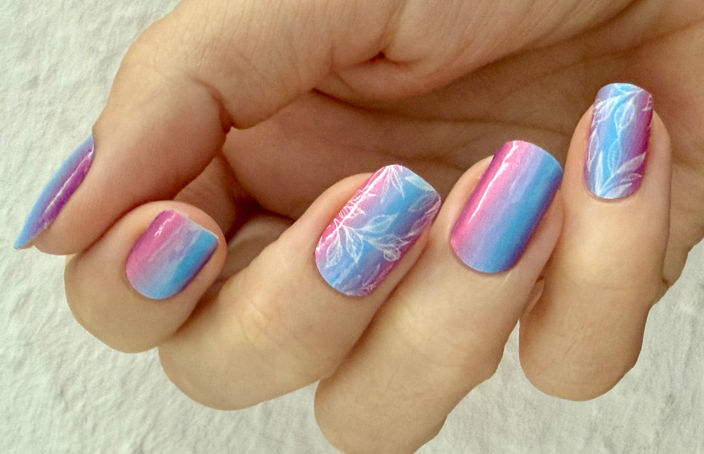 Dream Petals 16er