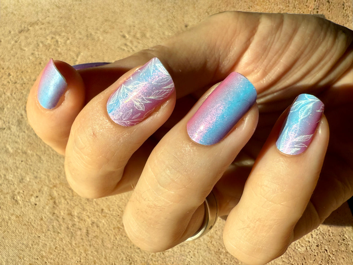 Dream Petals 16er